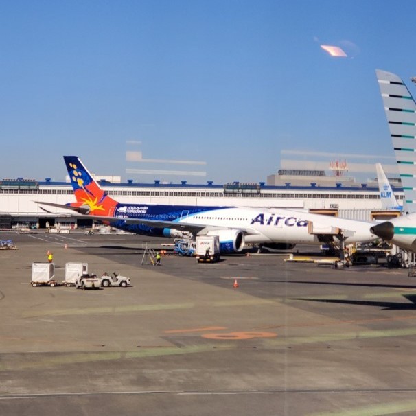 成田空港に停まるエアカランの飛行機
